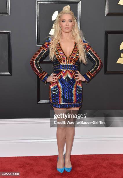 Singer/TV personality Erika Jayne attends the 59th GRAMMY Awards at STAPLES Center on February 12, 2017 in Los Angeles, California.