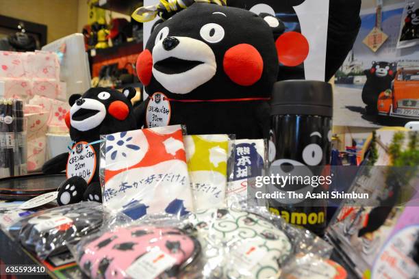 Stuffed dolls, water bottles and "tenugui" hand towels featuring Kumamon line the shelves of a store near Kumamoto Castle on February 15, 2017 in...