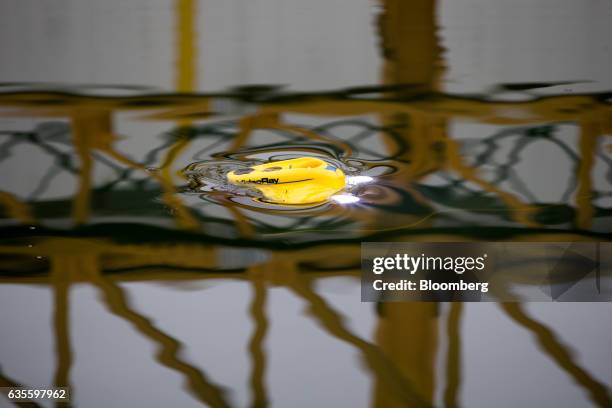 An underwater remotely operated vehicle, manufactured by VideoRay LLC, maneuvers in the Pile Fuel Storage Pond at Sellafield atomic fuel reprocessing...