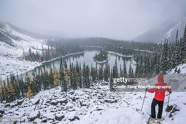 opabin plateau hike, lake o'hara, yoho national park, british columbia, canada - lago o'hara imagens e fotografias de stock