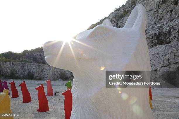 Primo piano del lupo di marmo che insieme ai lupi di plastica fa parte di Cave Canem, l'invasione da parte di Cracking Art della Cava Burgazzi. La...