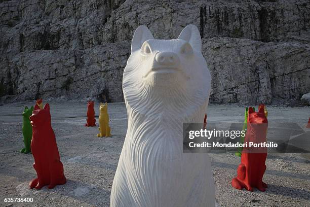 Primo piano del lupo di marmo che insieme ai lupi di plastica fa parte di Cave Canem, l'invasione da parte di Cracking Art della Cava Burgazzi. La...