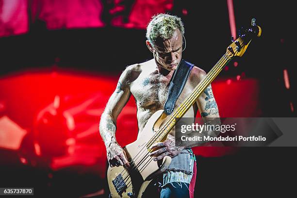 The bass player of the band Red Hot Chili Peppers Flea in concert at the Unipol Arena in Bologna. Bologna, Italy. 8th October 2016