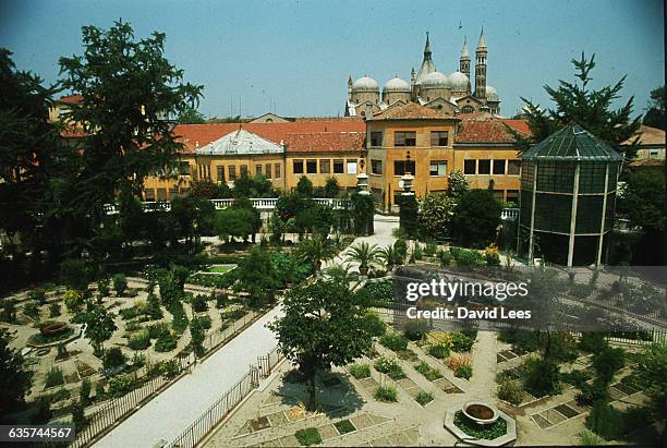 Padua's Botanical Garden, Italy. A semi-circular grren house can be seen protecting a Goethe's Palm. The semi-circulat plant beds directly in front...