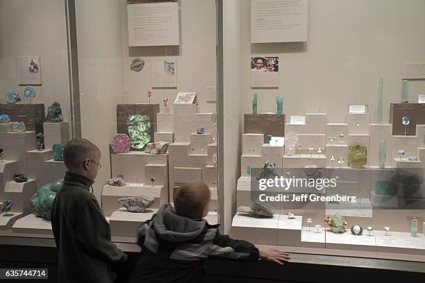 Children looking at a display case of Gems and Minerals in the Smithsonian National Museum of Natural History.