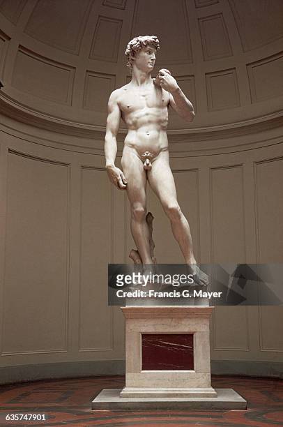 David by Michelangelo, circa 1501.