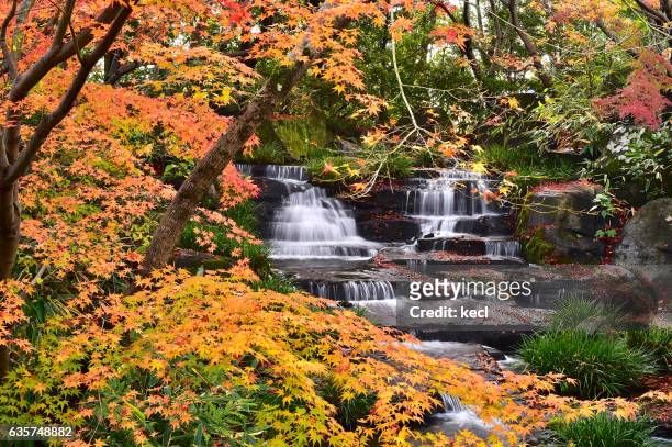 autumn colors ／japan - kobe japan stock pictures, royalty-free photos & images