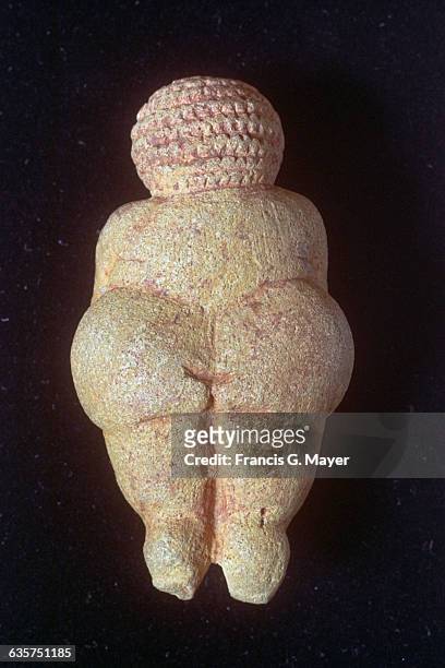 Back View of the Venus of Willendorf