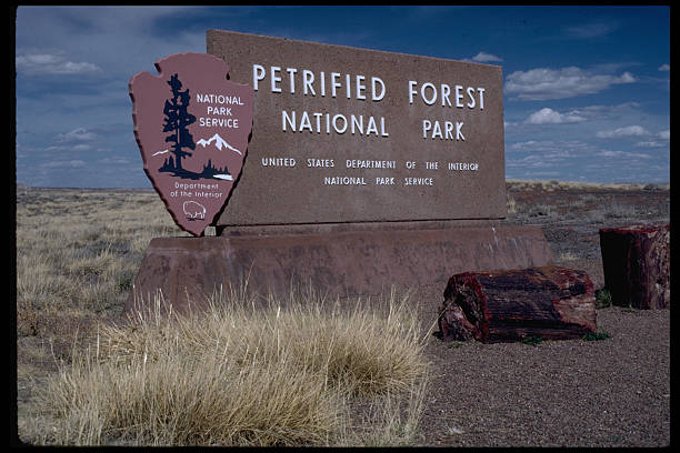 UNS: 9th December 1962 - Petrified Forest National Park Is Established