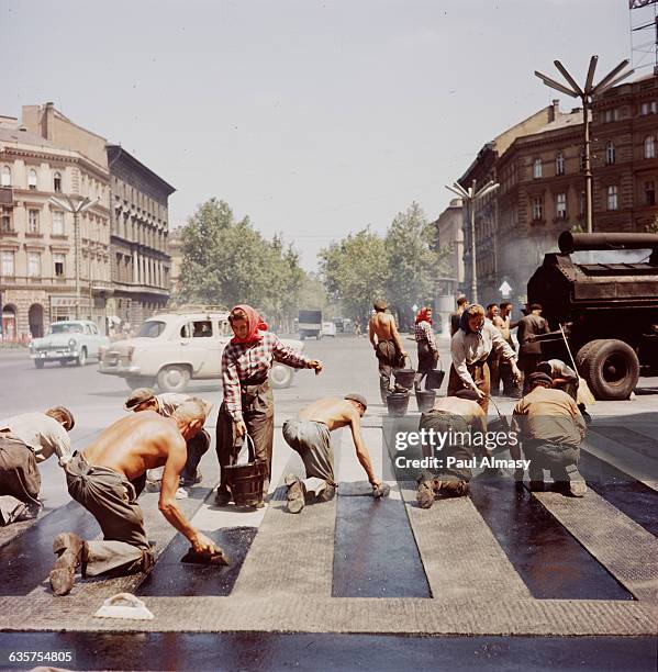 Workers apply tar to a street in Budapest, Hungary.