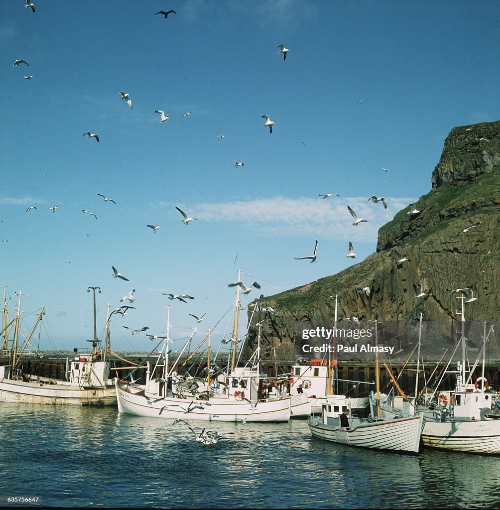 Fishing Boats