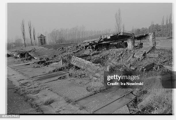 Near the end of the war, SS men destroyed many of the buildings at the concentration camp to conceal their crimes of exterminating people.