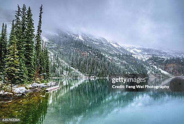 lake o'hara after snow, yoho national park, british columbia, canada - lago o'hara foto e immagini stock