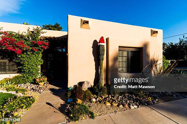 a seguaro cactus adorned with a santa hat - arizona christmas fotografías e imágenes de stock