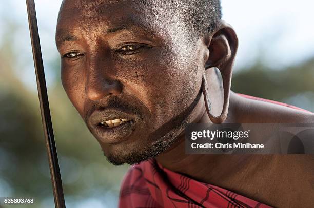 maasai warrior tribesman portrait - kenya, africa. - guerreros masai fotografías e imágenes de stock
