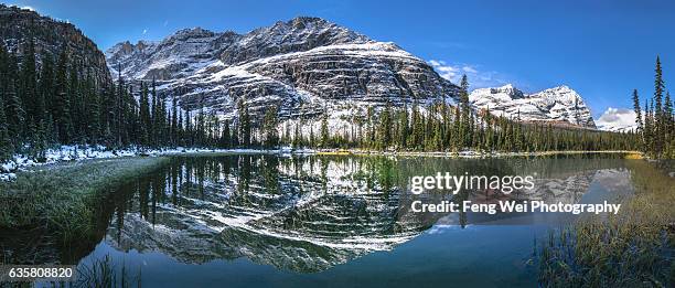 panoramic view of mary lake, lake o'hara, yoho national park, british columbia, canada - lago o'hara foto e immagini stock