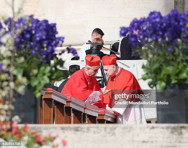 Saint Peter's Square. Holy Week. Focus on the cardinals Tarcisio Bertone - on the right, cardinal and archbishop of Genoa - and Angelo Comastri - on...