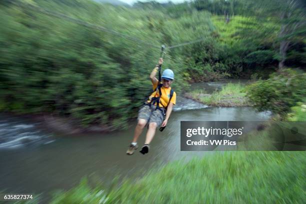 Popular tourist attraction on Kauai. This girl is on a valley zipline tour over a stream. Hawaii.