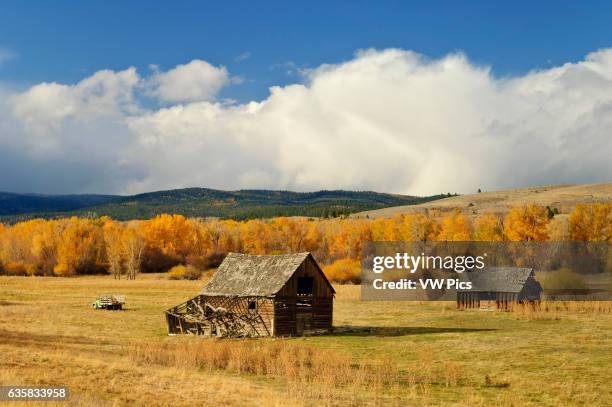 Elkhorn Ranch Images Elkhorn Ranch Photos and Premium High Res Pictures - Getty Images