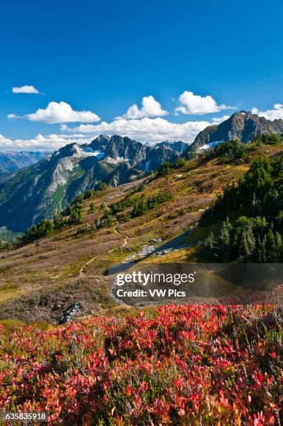 Sahale Arm Trail, Cascade Pass, North Cascades National Park, Washington.