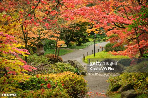 Japanese Garden in autumn, Washington Park Arboretum, Seattle, Washington.