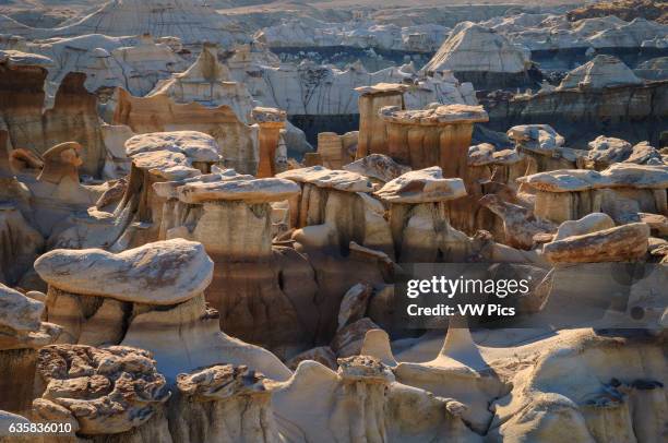 Hoodoos in the Bisti Badlands, Bisti/De-Na-Zin Wilderness, New Mexico.