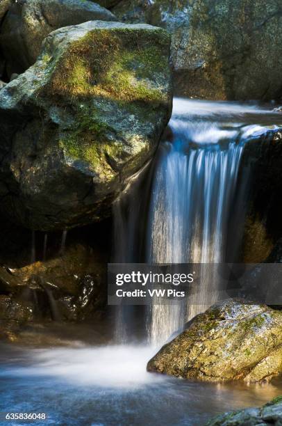 Waterfall on stream along Redwood Nature Trail, Siskiyou National Forest, Oregon.