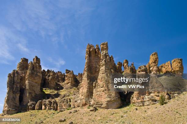 Clarno Unit 18 Clarno Unit Stock Photos, High-Res Pictures, and Images - Getty Images