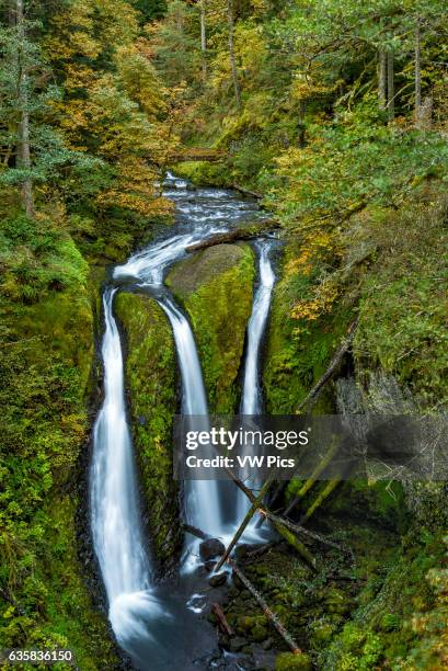 Triple Falls, Columbia River Gorge National Scenic Area, Oregon.