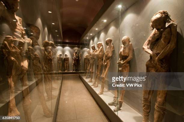 Mummies on display at El Museo De Las Momias , Guanajuato, Mexico.