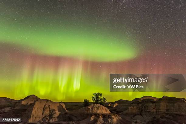 The Northern Lights over the badlands of Dinosaur Provincial Park, Alberta, on September 11, 2015. This is one frame from a 280-frame time-lapse...