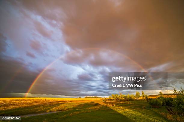 Rainbow near sunset from hom in Alberta, May 31 taken with the 14mm Rokinon ultra wide angle lens. A fainter outer bow is also visible.