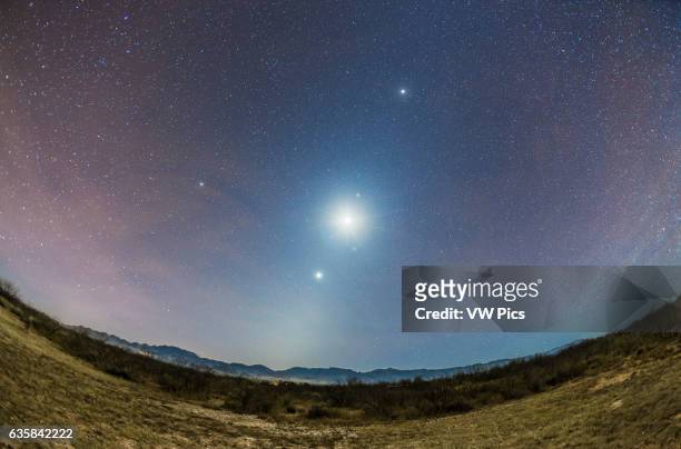 The Zodiacal Light of a late autumn/early winter morning faintly visible amid the moonlight from the waning crescent Moon, at centre here as the...