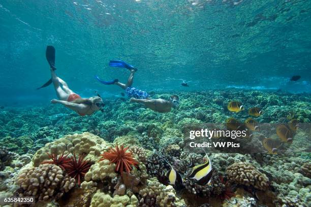Our World, News Photo