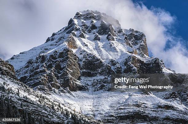 mount huber @ lake o'hara, yoho national park, british columbia, canada - lago o'hara foto e immagini stock