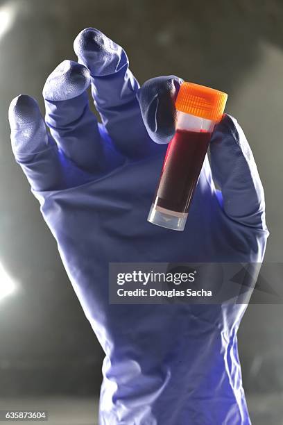 drug testing lab technician hold a vial of blood - groupe sanguin photos et images de collection
