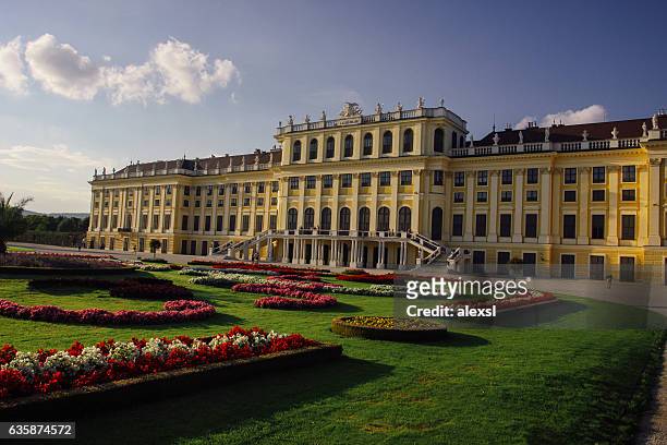 vienna schonbrunn palace - schönbrunn palace stock pictures, royalty-free photos & images