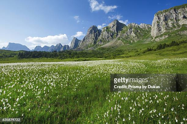 Alvier mountains in the canton of St. Gall.