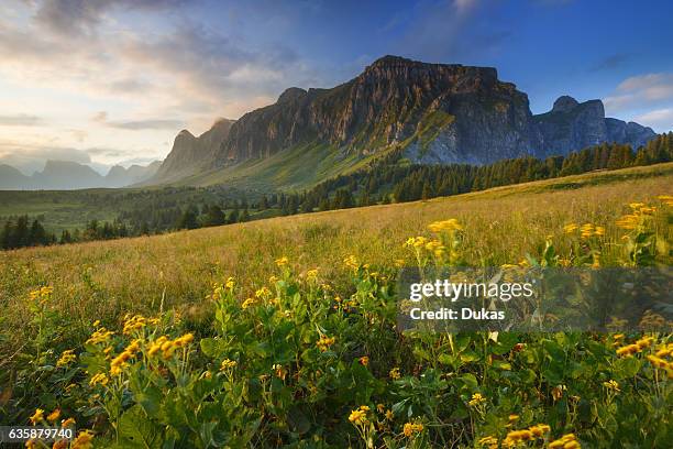 Alvier mountains in the canton of St. Gall.