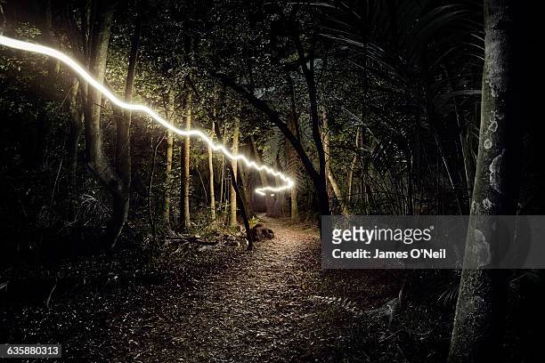 light trail through forest - new zealand night stock pictures, royalty-free photos & images