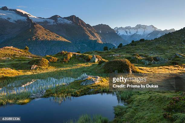 Moosfluh alp in the canton of Valais, UNESCO world nature heritage.