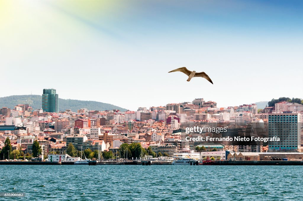 Coastline of the Spanish city of Vigo seen from the sea