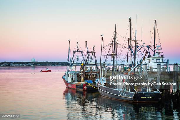 fishing vessels docked at macmillan wharf provincetown - hilton head photos et images de collection