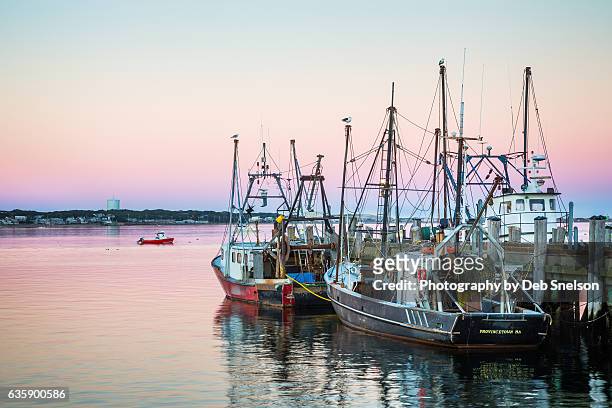 fishing vessels docked at macmillan wharf provincetown - hilton head stock pictures, royalty-free photos & images