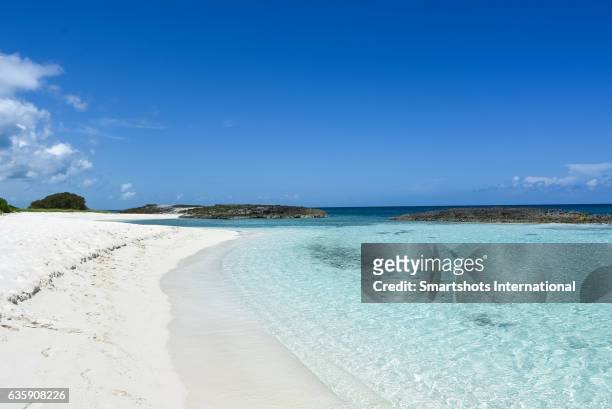 idyllic image of a pristine caribbean beach with transparent turquoise waters and white sand in cayo santa maria, cuba - cayo santa maria stock-fotos und bilder