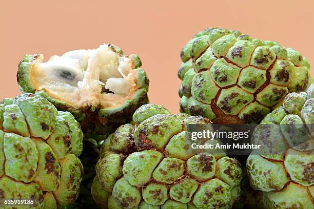 custard apples - cherimoya stock pictures, royalty-free photos & images