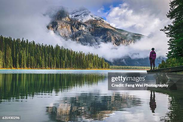 emerald lake, yoho national park, british columbia, canada - yoho national park stock pictures, royalty-free photos & images