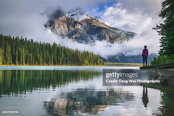 emerald lake, yoho national park, british columbia, canada - yoho national park bildbanksfoton och bilder