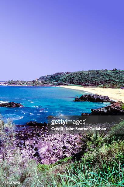 Waimea Bay Photos and Premium High Res Pictures Getty Images