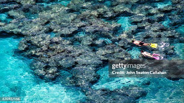 snorkeling at hanauma bay - oahu stockfoto's en -beelden